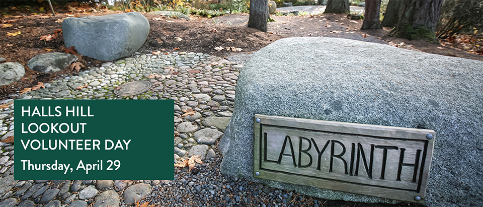 Volunteer Registration